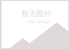 施甸县如柏美容有限公司